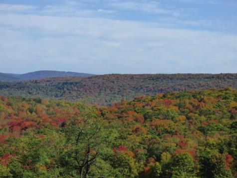 1516 White Oak School Road Terra Alta WV 26764