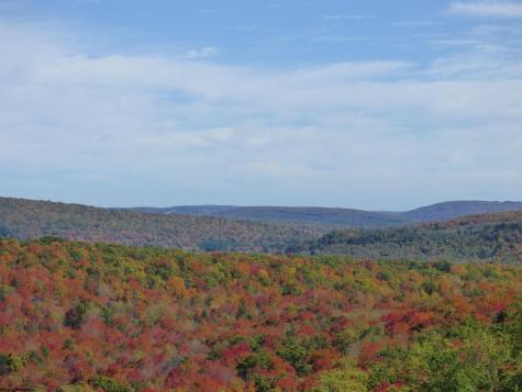 1516 White Oak School Road Terra Alta WV 26764