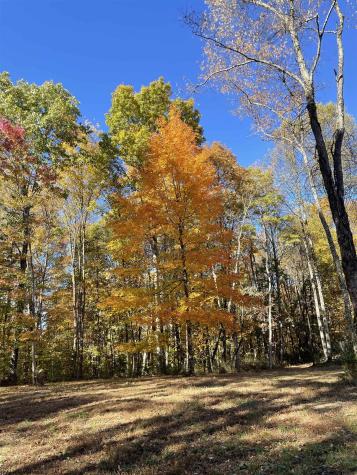 575 Weaver Road Belington WV 26250