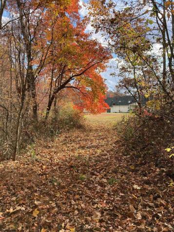 575 Weaver Road Belington WV 26250