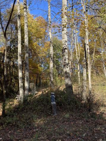 575 Weaver Road Belington WV 26250