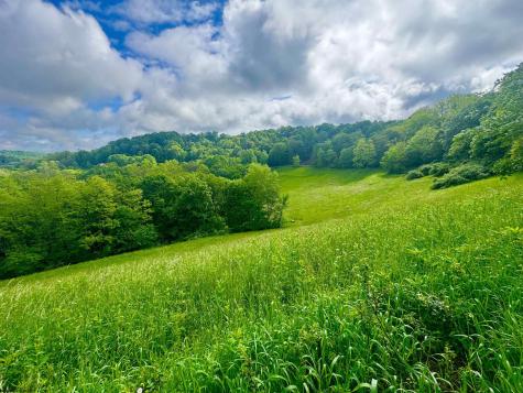 14451 Proctor Creek Road New Martinsville WV 26155