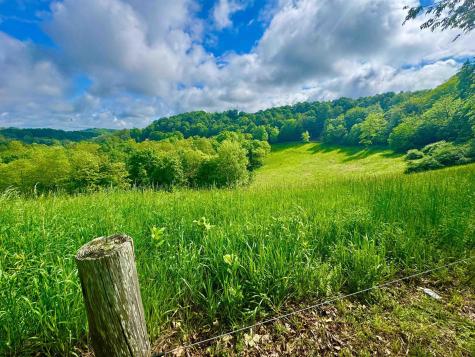 14451 Proctor Creek Road New Martinsville WV 26155