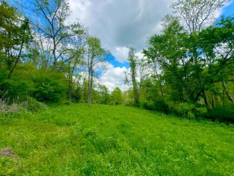 14451 Proctor Creek Road New Martinsville WV 26155
