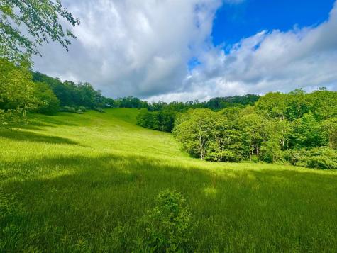 14451 Proctor Creek Road New Martinsville WV 26155