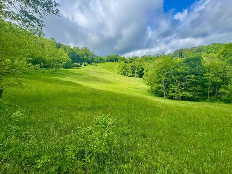 14451 Proctor Creek Road New Martinsville WV 26155