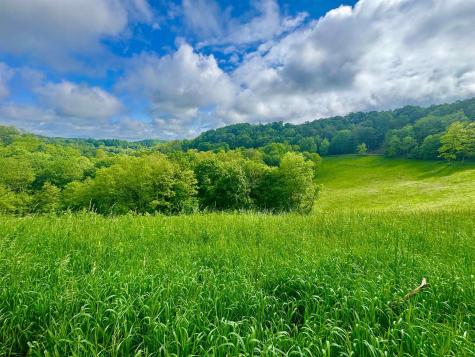 14451 Proctor Creek Road New Martinsville WV 26155