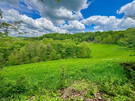 14451 Proctor Creek Road New Martinsville WV 26155