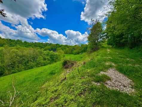 14451 Proctor Creek Road New Martinsville WV 26155