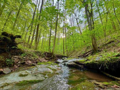 14451 Proctor Creek Road New Martinsville WV 26155