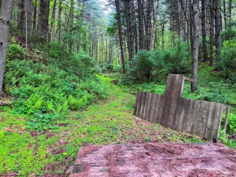 2086 Teagarden Fork Road Metz WV 26585