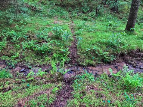 2086 Teagarden Fork Road Metz WV 26585