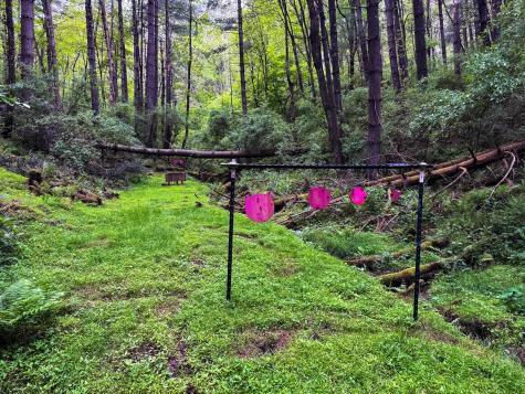 2086 Teagarden Fork Road Metz WV 26585