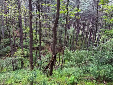 2086 Teagarden Fork Road Metz WV 26585