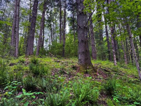 2086 Teagarden Fork Road Metz WV 26585