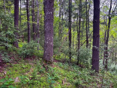 2086 Teagarden Fork Road Metz WV 26585