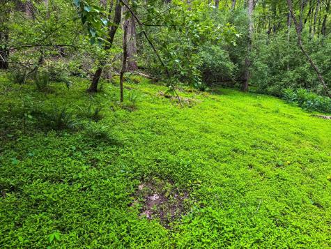 2086 Teagarden Fork Road Metz WV 26585