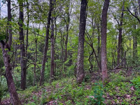 2086 Teagarden Fork Road Metz WV 26585