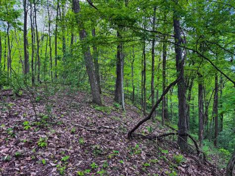 2086 Teagarden Fork Road Metz WV 26585
