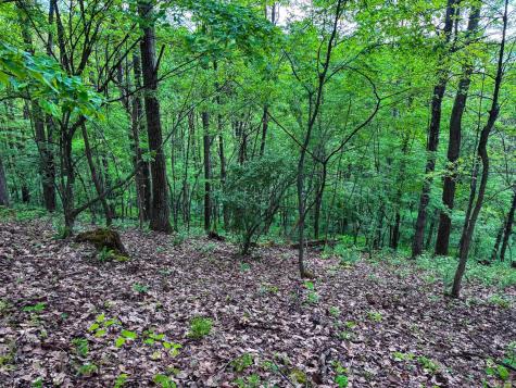 2086 Teagarden Fork Road Metz WV 26585