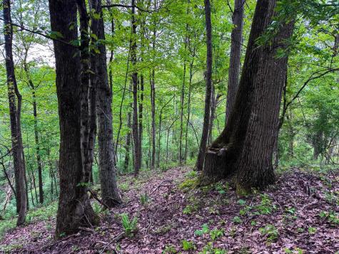 2086 Teagarden Fork Road Metz WV 26585