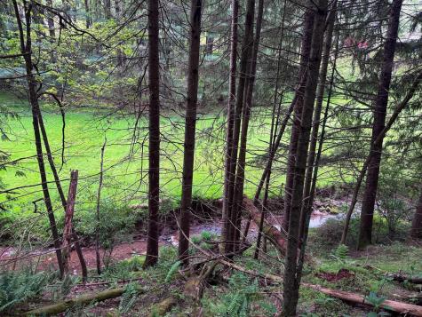 2086 Teagarden Fork Road Metz WV 26585