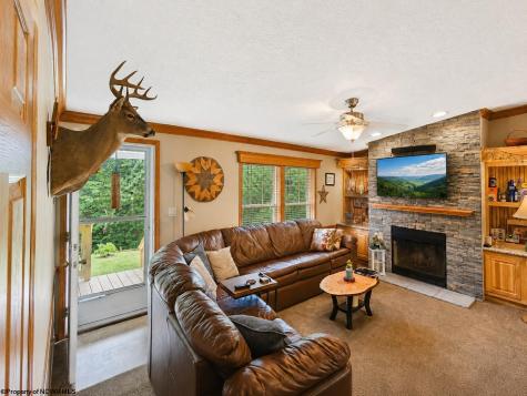 14107 Back Mountain Road Durbin WV 26264