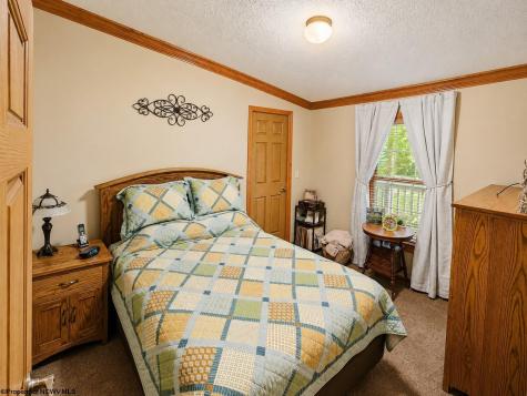 14107 Back Mountain Road Durbin WV 26264