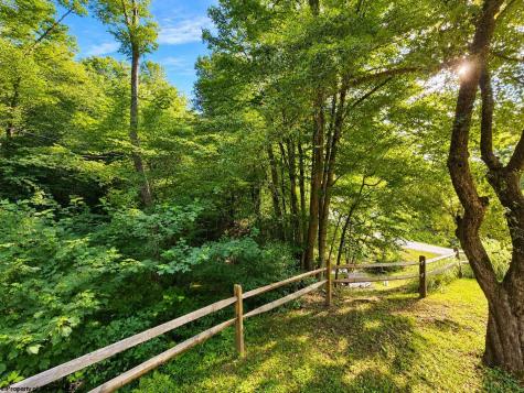 14107 Back Mountain Road Durbin WV 26264