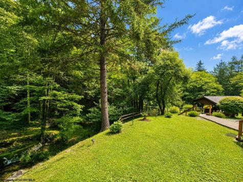 14107 Back Mountain Road Durbin WV 26264