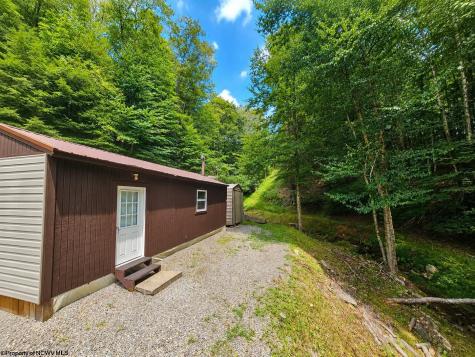 14107 Back Mountain Road Durbin WV 26264