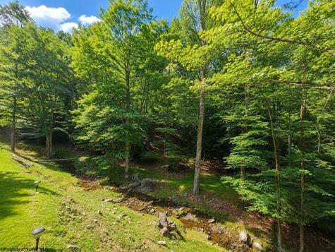 14107 Back Mountain Road Durbin WV 26264