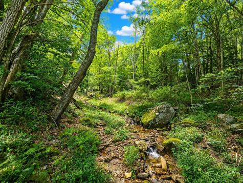 14107 Back Mountain Road Durbin WV 26264