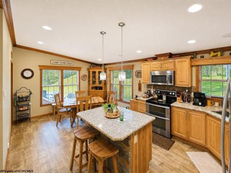 14107 Back Mountain Road Durbin WV 26264