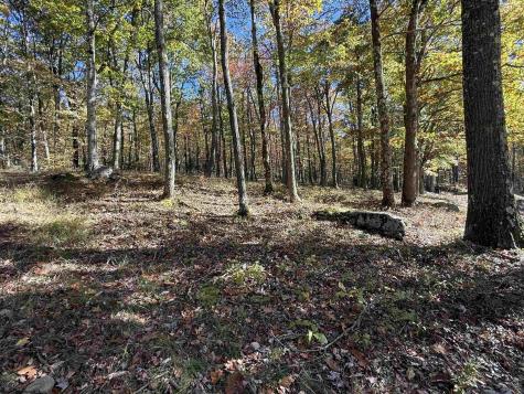 26032 Veterans Memorial Highway Terra Alta WV 26764
