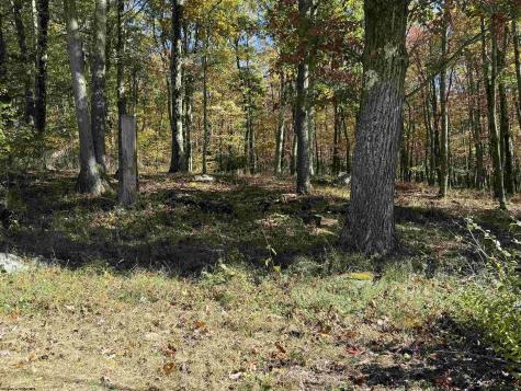 26032 Veterans Memorial Highway Terra Alta WV 26764