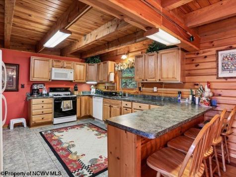 597 E Meadows Road Harman WV 26270