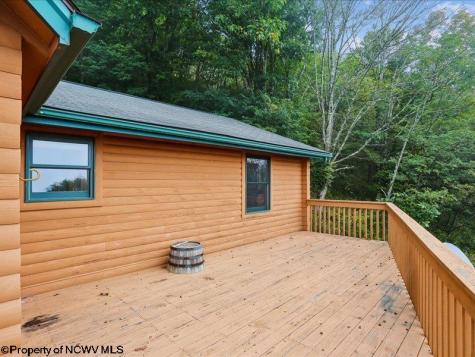 597 E Meadows Road Harman WV 26270