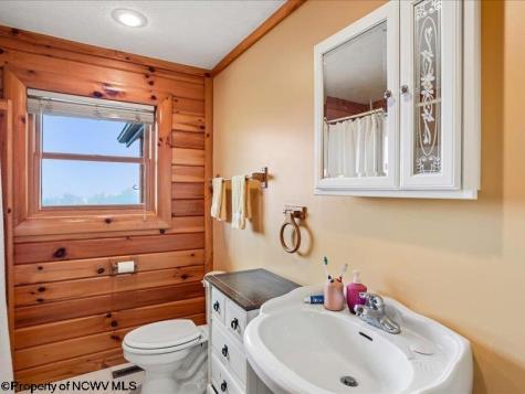 597 E Meadows Road Harman WV 26270