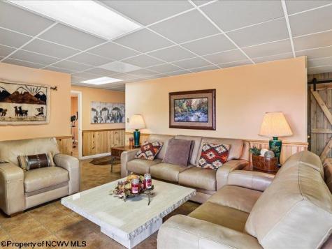 597 E Meadows Road Harman WV 26270