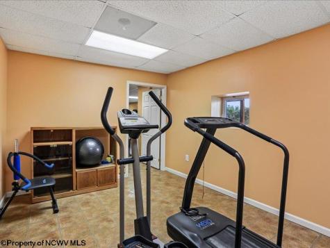597 E Meadows Road Harman WV 26270