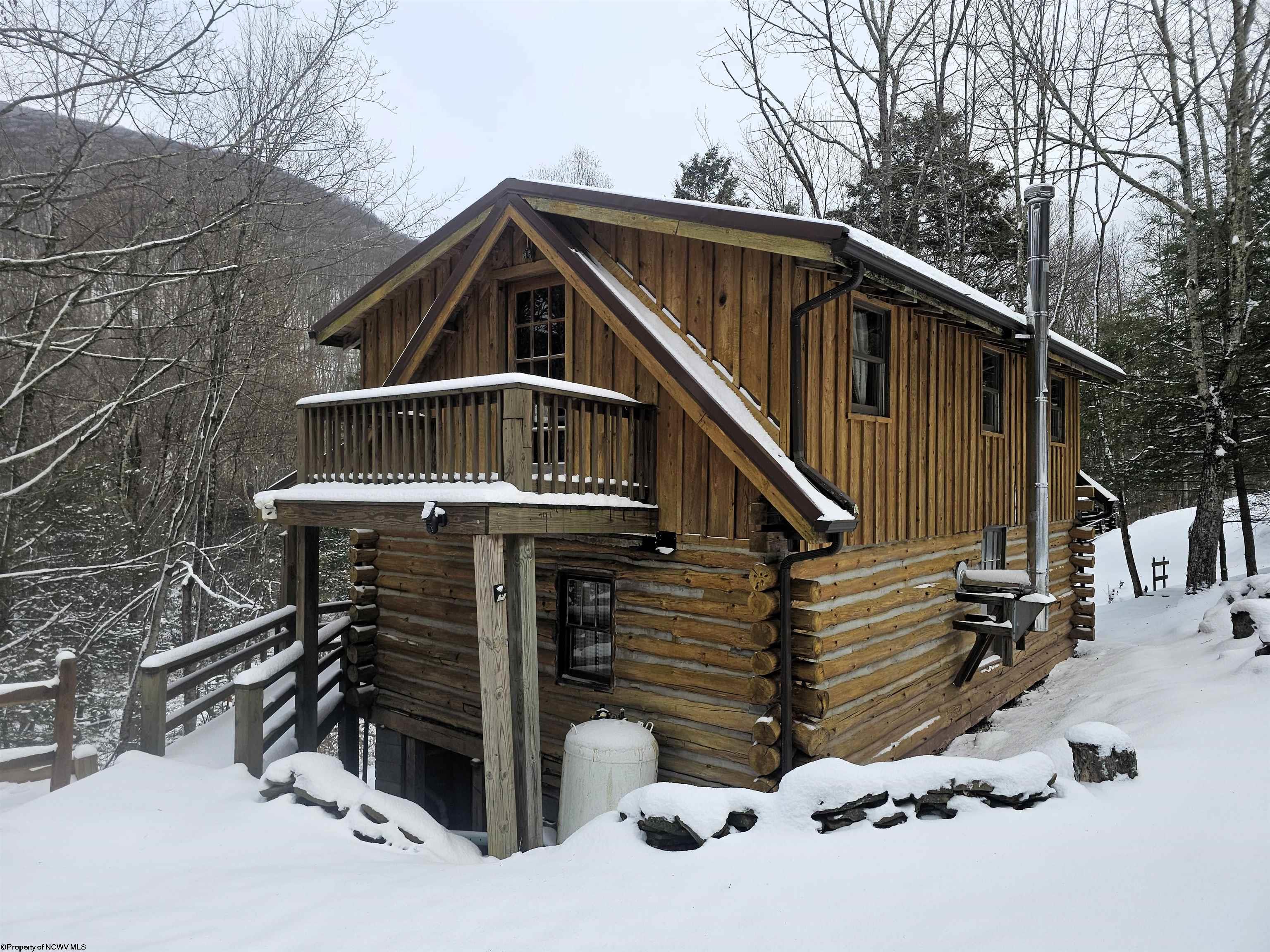 390 Dolly Lane Dryfork WV 26263