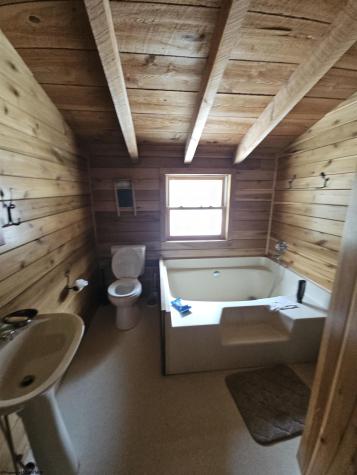 390 Dolly Lane Dryfork WV 26263