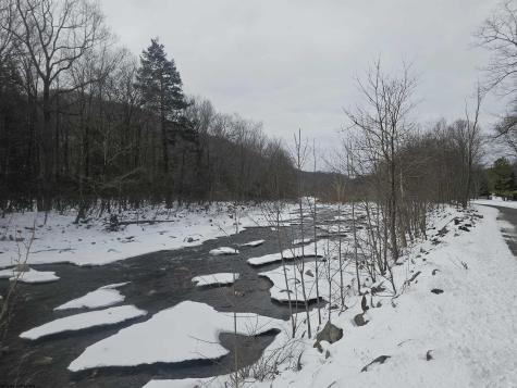 390 Dolly Lane Dryfork WV 26263