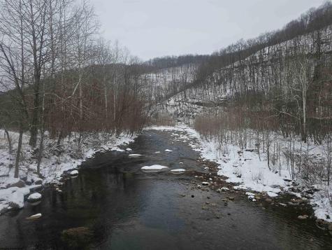 390 Dolly Lane Dryfork WV 26263