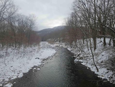 390 Dolly Lane Dryfork WV 26263