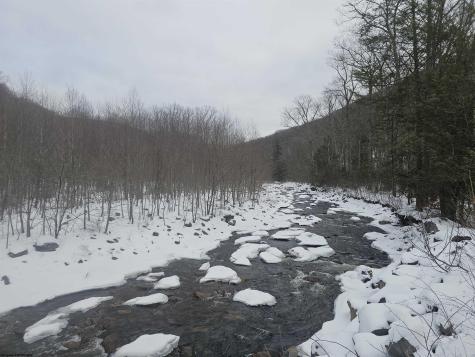 390 Dolly Lane Dryfork WV 26263