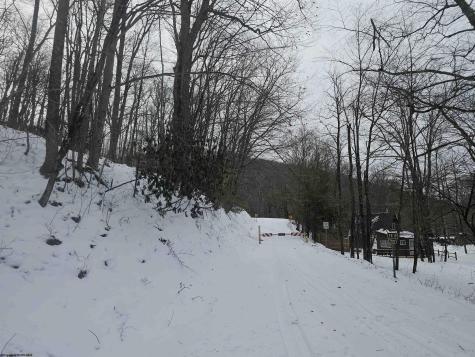 390 Dolly Lane Dryfork WV 26263