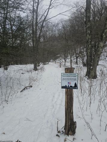 390 Dolly Lane Dryfork WV 26263