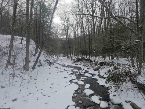 390 Dolly Lane Dryfork WV 26263